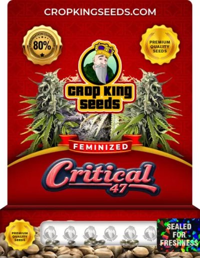 Critical 47